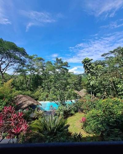 Lodge view, Ecuadorian Amazon