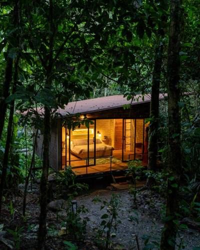 Forest cabin at dusk, Ecuadorian Amazon
